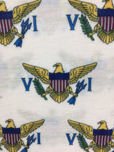 Load image into Gallery viewer, VI Flag Swag Mask