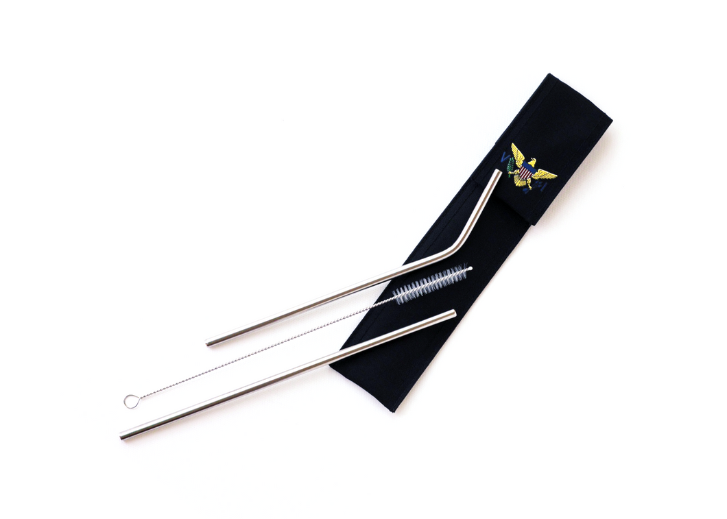 Stainless Steel Straws with VI Case